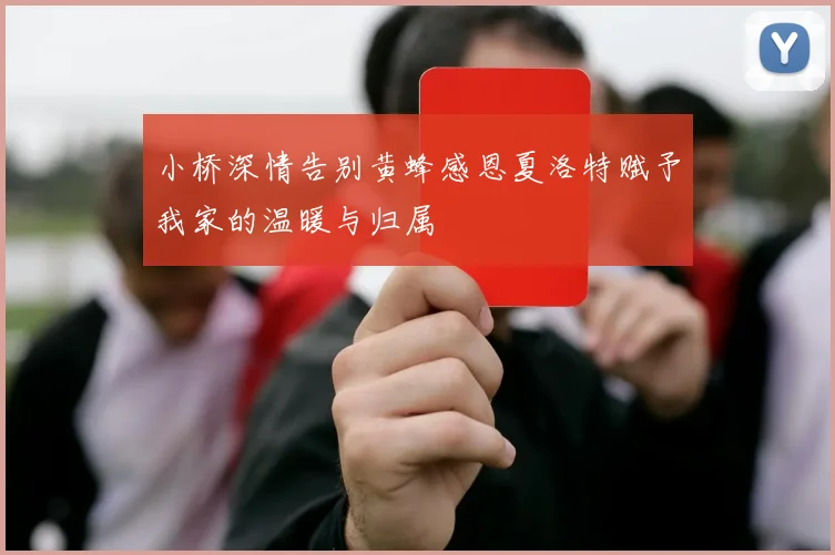 小桥深情告别黄蜂感恩夏洛特赋予我家的温暖与归属
