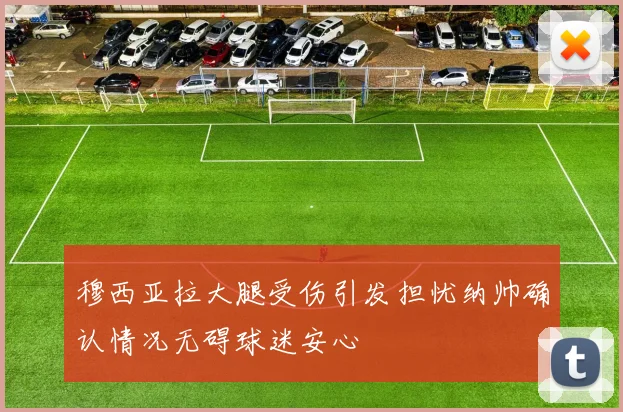 穆西亚拉大腿受伤引发担忧纳帅确认情况无碍球迷安心
