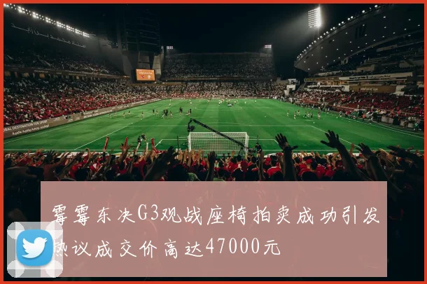 霉霉东决G3观战座椅拍卖成功引发热议成交价高达47000元