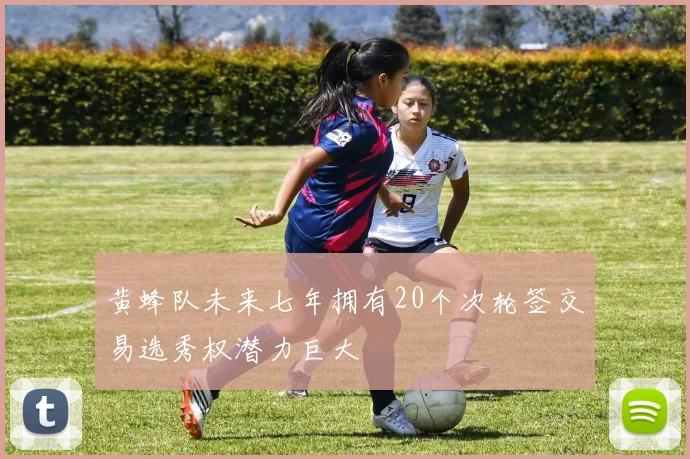 黄蜂队未来七年拥有20个次轮签交易选秀权潜力巨大