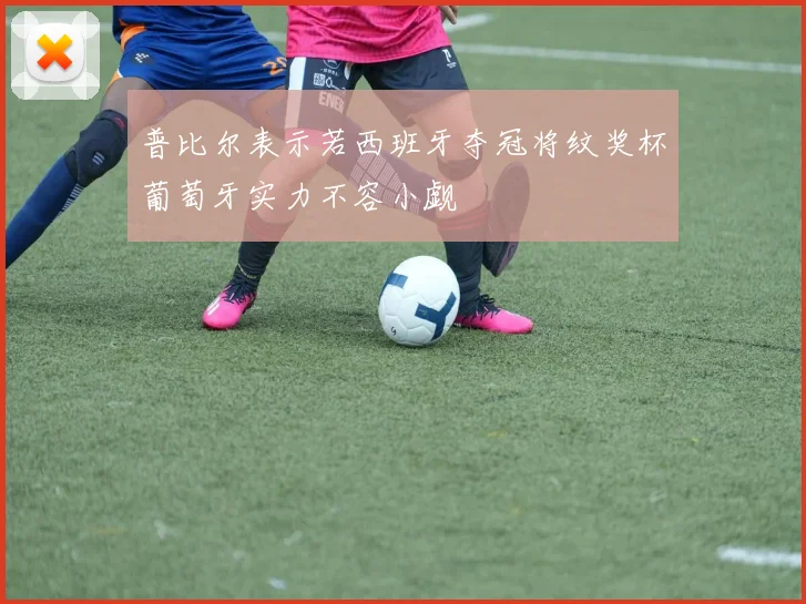 普比尔表示若西班牙夺冠将纹奖杯葡萄牙实力不容小觑